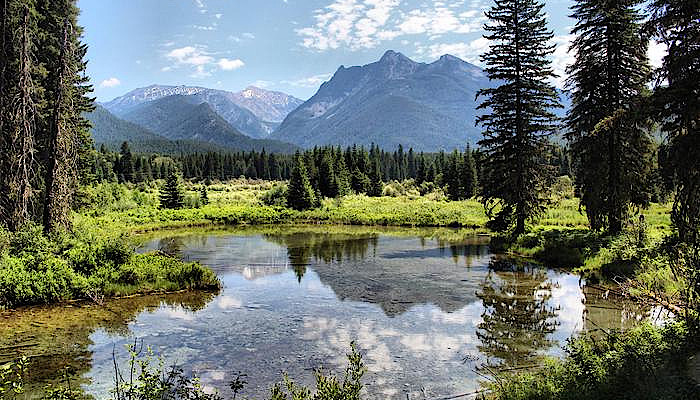 Kootenai National Forest