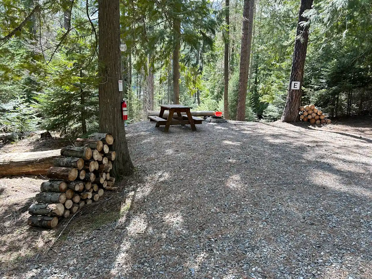 Level area with log pile