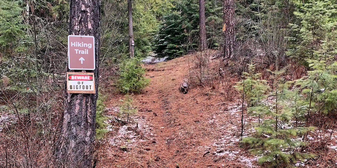 Hiking trail with beware of Bigfoot sign